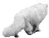 gato imaxes-animadas-gif